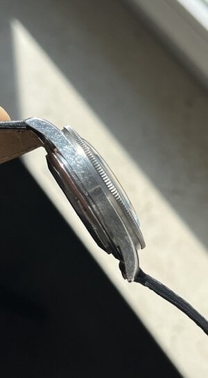 IMG_1519.jpeg