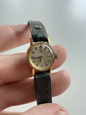 IMG_2747.jpeg