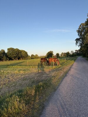 IMG_9090.jpeg