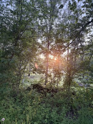 IMG_9094.jpeg