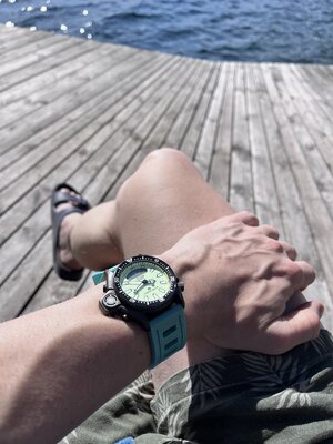 IMG_0804.jpeg