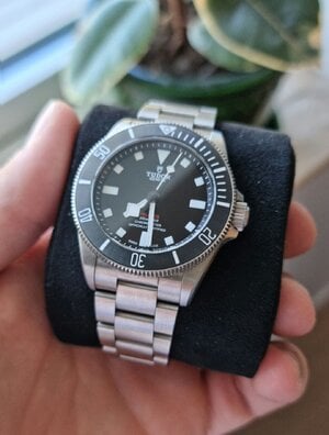 1000013250.jpg