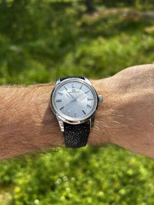 IMG_1307.jpeg