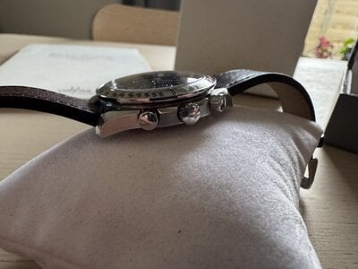 IMG_7437.jpeg