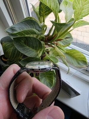 20250602_104908.jpg