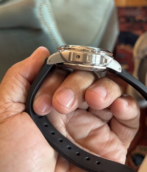 IMG_9528.jpeg