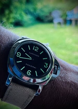 IMG_7096.jpeg