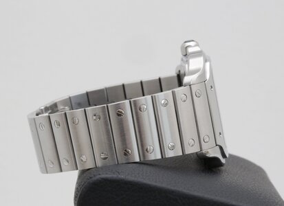 Cartier_Santos_WHSA0028_Skeleton_8.JPG