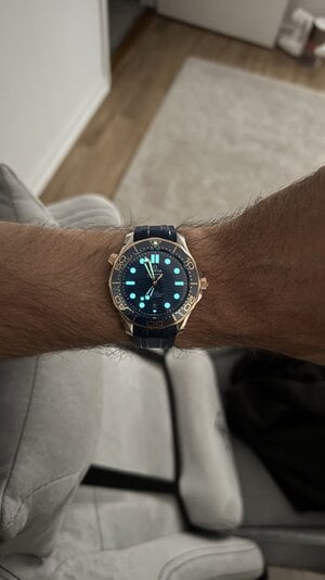 IMG_3628.jpeg