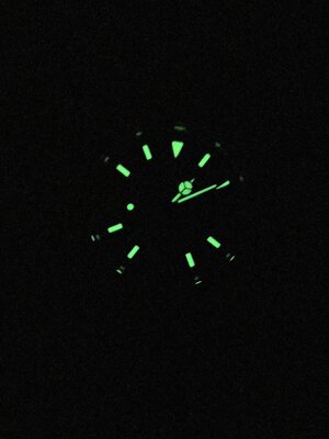 IMG_2621.jpeg