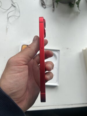 IMG_9164.jpeg