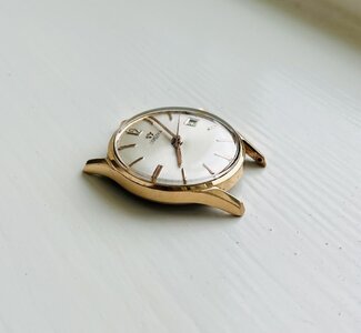IMG_6001.jpeg