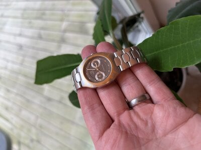 IMG_2557.jpeg