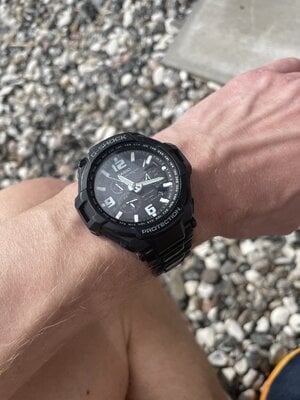 IMG_2108.jpeg