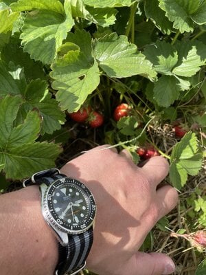 IMG_1208.jpeg
