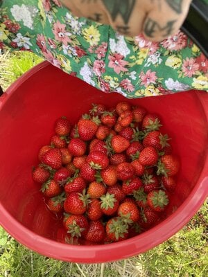 IMG_1209.jpeg