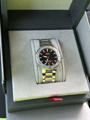 IMG_2579.jpeg