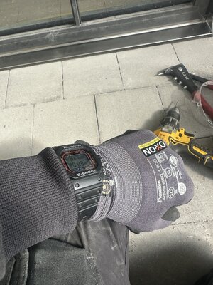 IMG_2603.jpeg