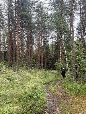 IMG_1095.jpeg