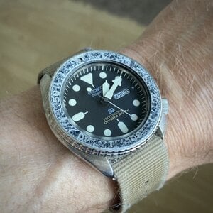 IMG_3323.jpeg