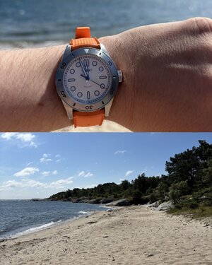 IMG_0218.jpeg