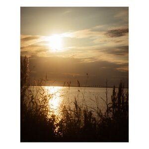 IMG_1123.jpeg