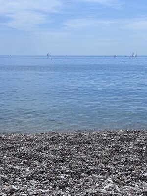 IMG_8962.jpeg