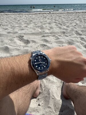 IMG_6887.jpeg