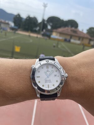 IMG_3494.jpeg