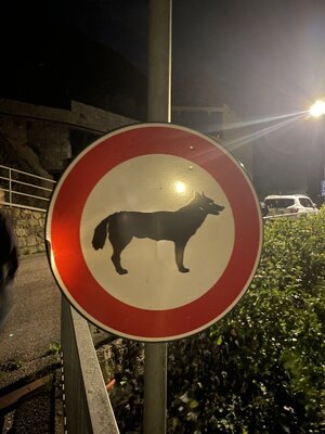 IMG_2961.jpeg