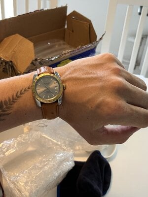 IMG_6348.jpeg