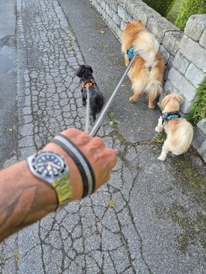 1000001687.jpg