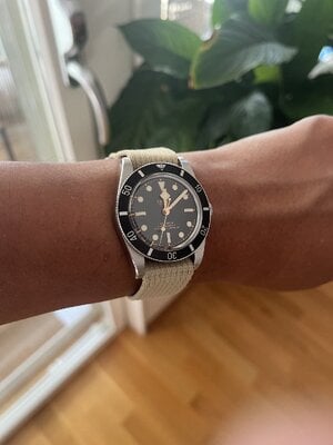 IMG_5492.jpeg
