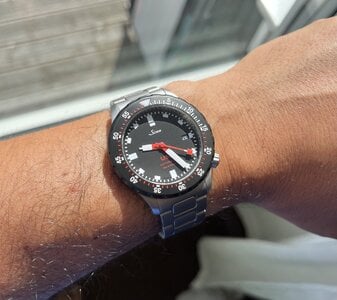 IMG_8784.jpeg