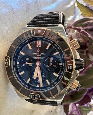 IMG_5222.jpeg