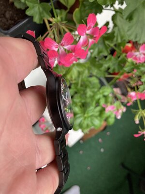 IMG_5214.jpeg
