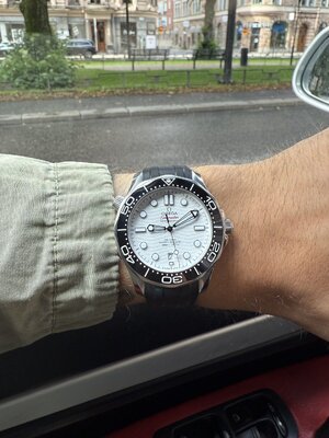 IMG_7041.jpeg
