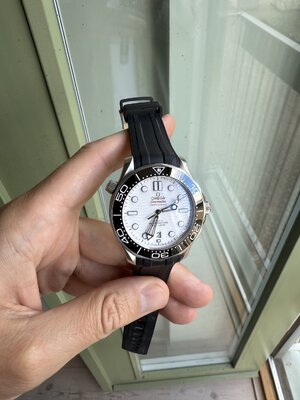 IMG_7081.jpeg