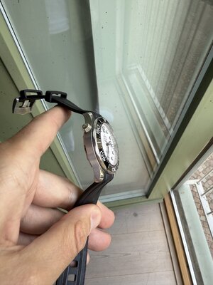 IMG_7086.jpeg