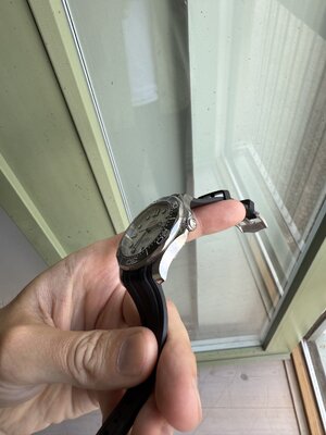IMG_7084.jpeg