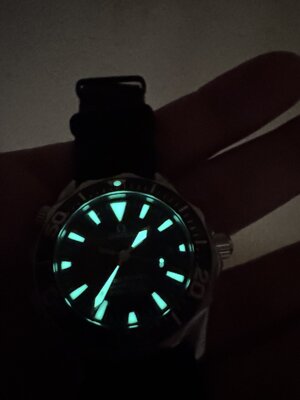 IMG_3907.jpeg