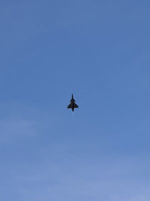 IMG_3497.jpeg