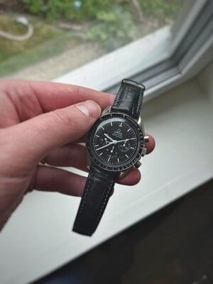 IMG_2688.jpeg