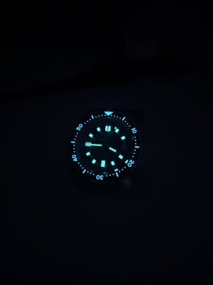 IMG_9447.jpeg