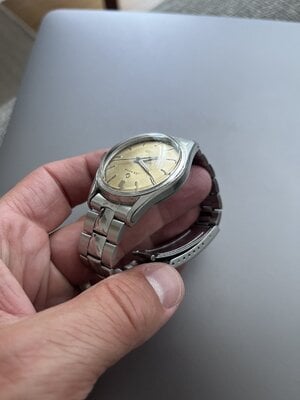 IMG_2675.jpeg