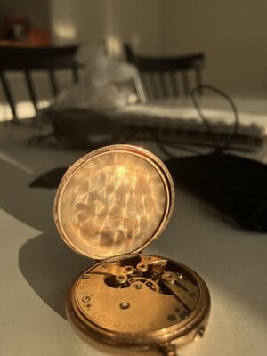 IMG_8733.jpeg
