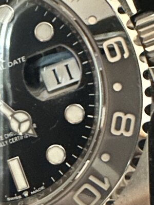 IMG_2959.jpeg