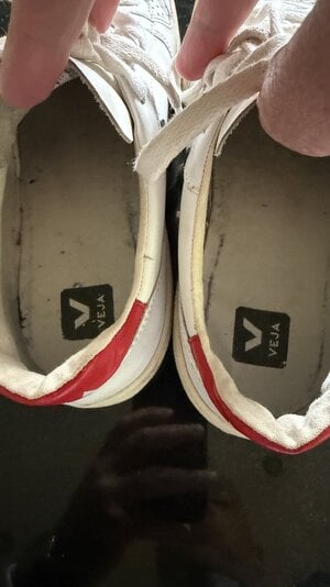IMG_2029.jpeg