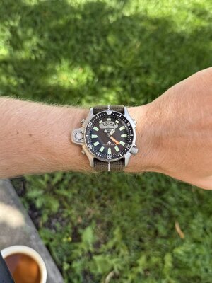 IMG_9665.jpeg