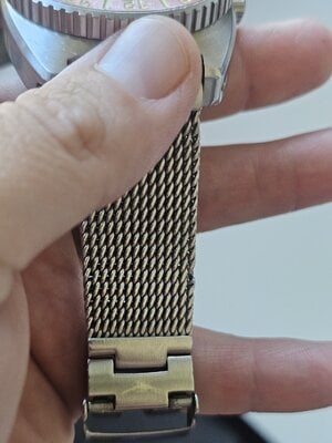1000020987.jpg